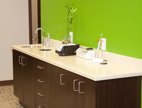 Ortho Bay